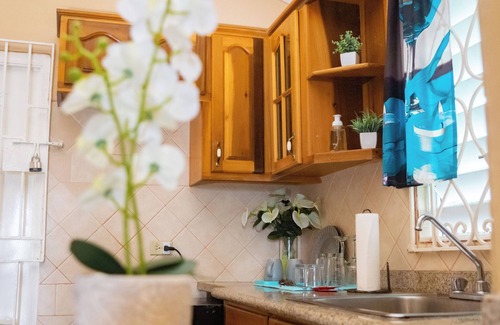Mammee Bay House | Yons Paradise: Modern Cozy 1-BR in Draxhall, St. Ann - Near Tourist Hotspots!