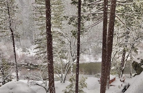 North Wawona Cabin | Yosemite Riverside Retreat - Gorgeous Views! Wood burning Stove!