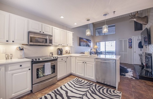 Crested Butte House | You Can't Get Any Closer to the Lifts! Ski In/Out, New Rental, Hot Tub & Sauna