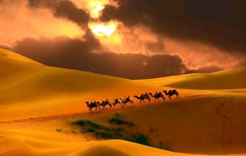 Rissani Bed & Breakfast | Your Desert Stay