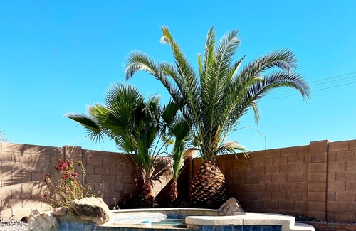 Superstition Springs House | Your Favorite Family Getaway w/Private Pool Sleeps 9