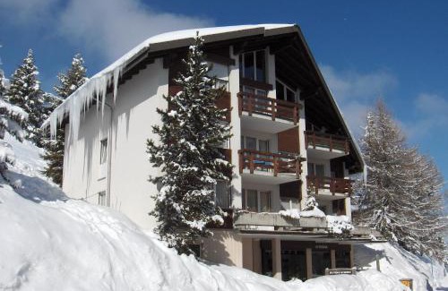 Murren Apartment | Your home in Mürren near the ski slopes and hiking trails
