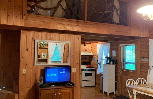 Tiger Cabin | Your Mountain Escape! Authentic log cabin. Comfortable, modern w/a creek too!