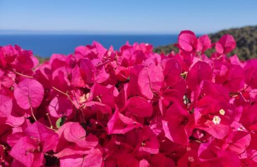 Blanes Apartment | Your Paradise at Costa Brava