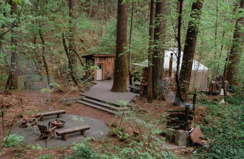 Nevada City Other | Your private Yurt in the woods - Nevada City
