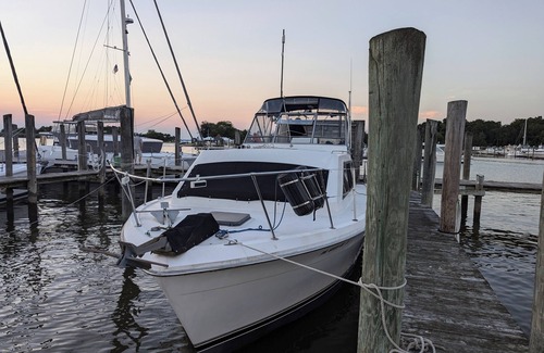 Portsmouth Boat Rental | Your Tropical Oasis awaits in Hampton Roads Virginia