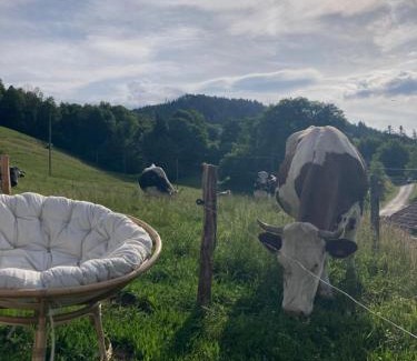 Ramonchamp Other | Yourte à la ferme