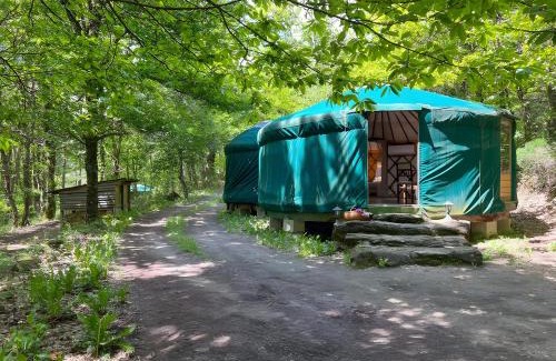 Chataigneraie Cantalienne House | Yourte Cantal