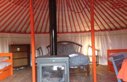 Saint-Leger-sur-Dheune Other | Yourte Mongole