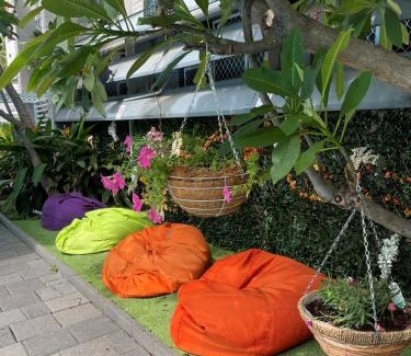 Darwin City Centre Hostel | Youth Shack Backpackers Darwin