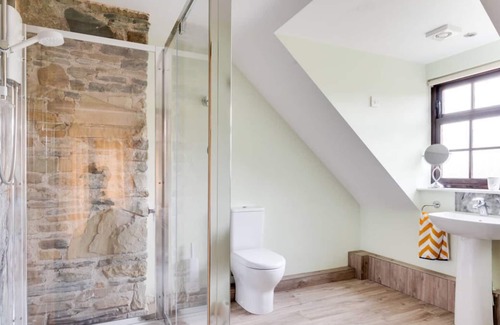 Rhayader House | Yr Alarch in the beautiful Rhayader