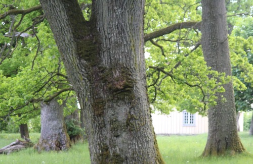 Lagan Bed & Breakfast | Yskullsund Säteri B&B