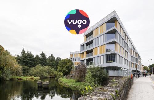 Cork Other | Yugo Explore - Amnis House