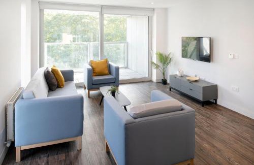 Cork Other | Yugo Explore - Amnis House