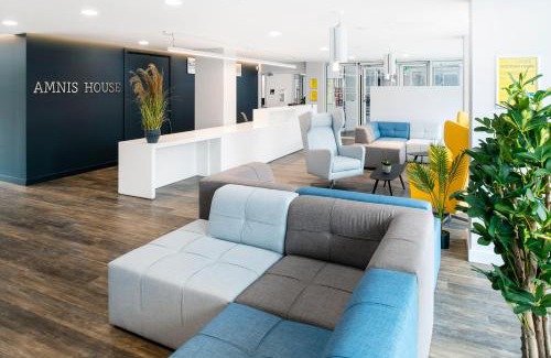 Cork Other | Yugo Explore - Amnis House