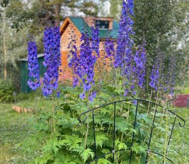 Whitehorse Bed & Breakfast | Yukon River Farm