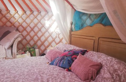 Arico Other | Yurta de Arico