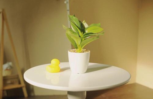 Hang Buom Apartment | Yuzu Home Dao Duy Tu