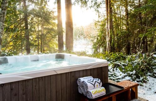 Glacier House | Yverin Muse Cabin