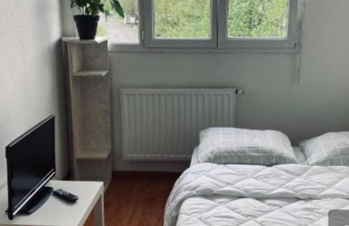 Poteries Apartment | Zénith Strasbourg 2 chambre