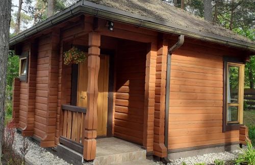 Plavniekkalns Ski Chalet | Zīlīšu holiday house