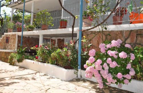 Ksamil Apartment | Zace Studios
