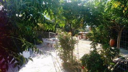 Armenistis Apartment | ZACHAROULA ROOMS 2