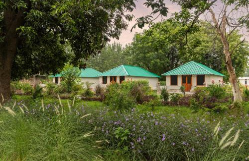 Prempura Hotel | ZANA Luxury Forest Resort, Ranthambore