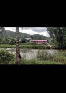 Raub House | zarifa homestay batu malim