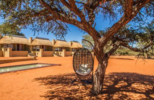 Intu Afrika Kalahari Private Reserve Cabin | Zebra Kalahari Lodge