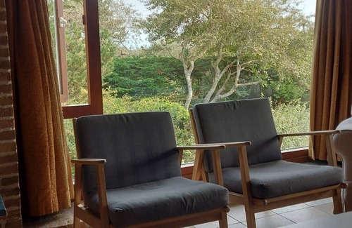 Westenschouwen Villa | Zeemeermin - Retro Beach House nestled in the dunes