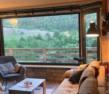 Mokra Gora House | Zemunica Resimić