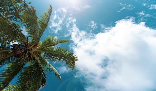 Kissimmee Apartment | Zen Escape At Terra Verde By Shine Villas