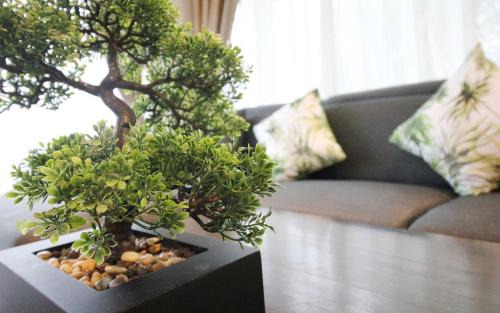 Kamala Apartment | Zen Hillside Self Service Apartment