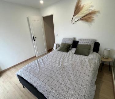 Roseraie Apartment | Zen Mayar House Toulouse centre