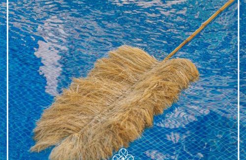 Dalyan Mahallesi Hotel | Zenaty Hotels Çeşme