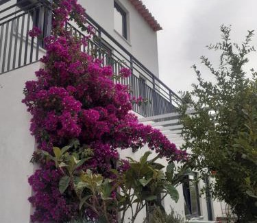 Baiona House | ZENergy - GUEST HOUSE