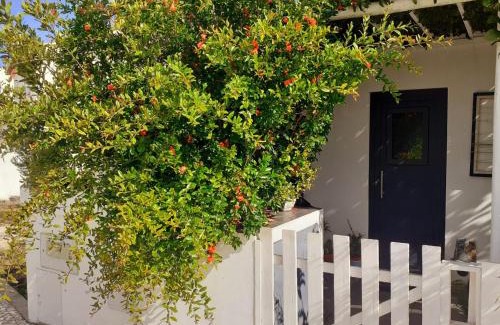 Baiona House | ZENergy - GUEST HOUSE