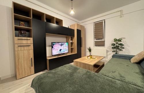 Sector 5 Apartment | Zenith Central Address Apartment with Parking