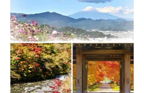Suruga Ward House | ZENNOOK riverside Fuji