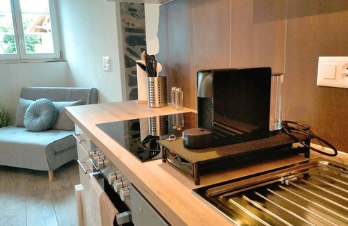 Frutigen Apartment | Zentral I Quellwasserbrunnen I gratis Parkplatz WiFi