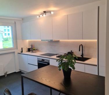 Weggis Apartment | Zentrumsnah und modern mit Seeblick in Weggis