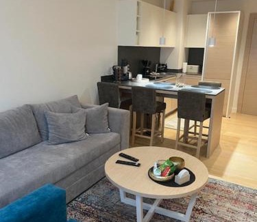 Vrnjacka Banja Apartment | Zepterme lux