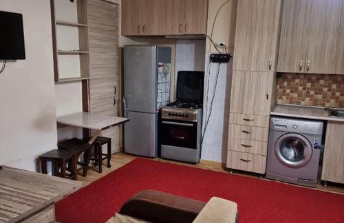 Borjomi Apartment | Zerkalo Guest House