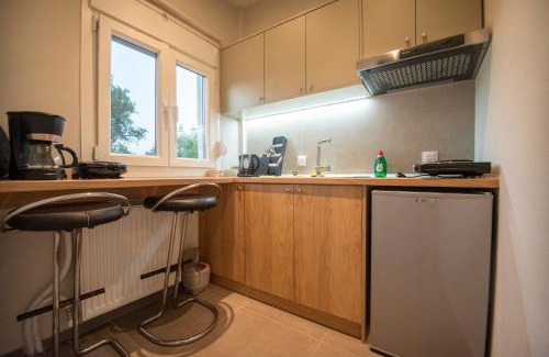 Therma Apartment | Zerynthos Apartments