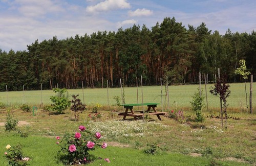 gmina Siedlec Apartment | Zielona Przystań