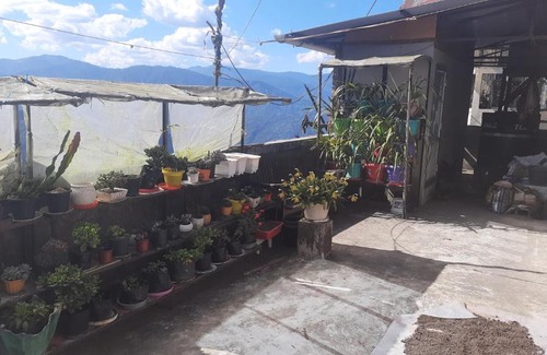 Darjeeling House | Zimbala@ Home Stay