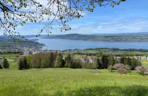 Feusisberg House | zimmer mit zauberhafter Seesicht - Room with amazing view of lake