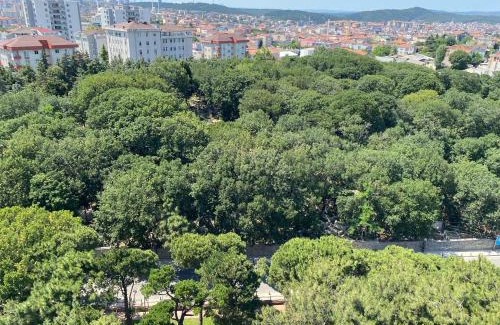 Yukarı Dudullu Mahallesi Apartment | Zin D Home Dudullu Otel