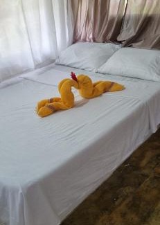 Canaveral Hostel | Zirumake Hostel Dentro del Parque Tayrona